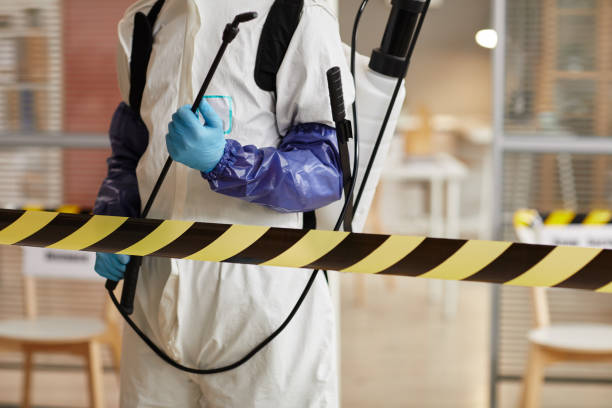 Professional Hoarding Cleanup technician working in Woodstown, NJ